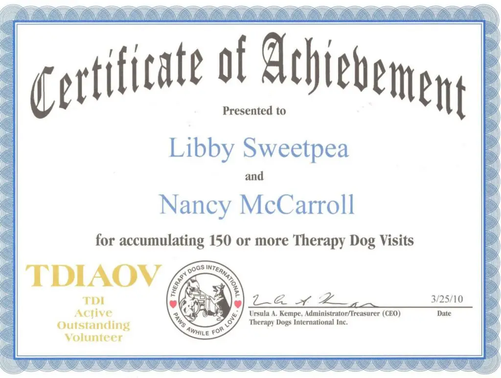 Acquire a dog training certification